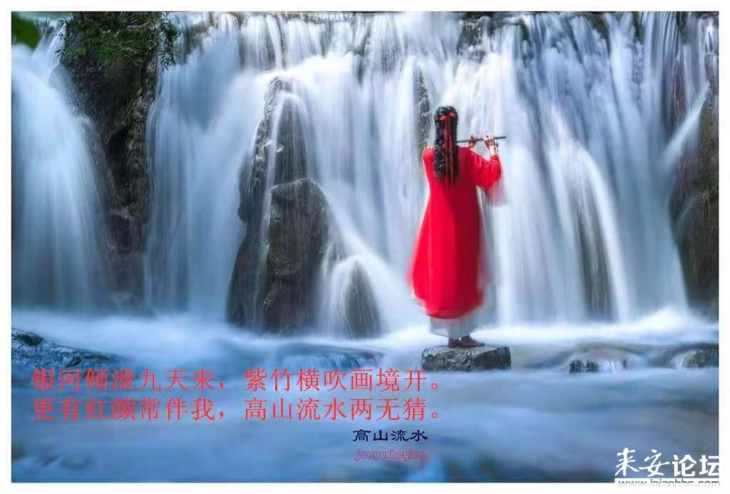 Iphone手机装扮